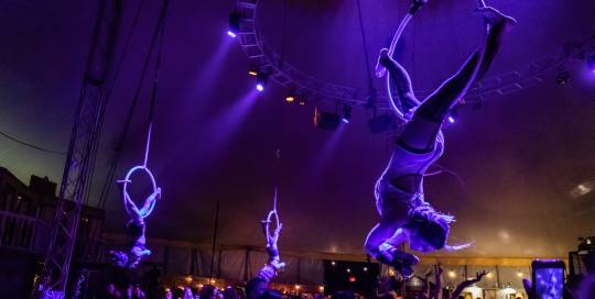 Image of Aerialists performing Vertigo at Vau de Vire's The Soiled Dove